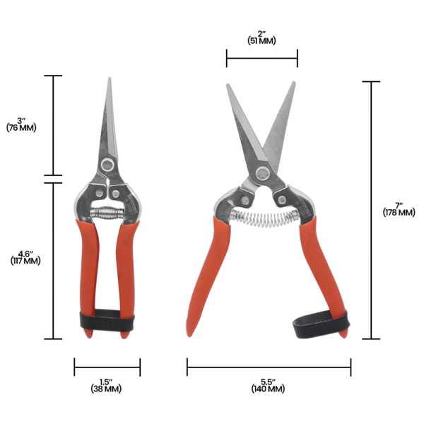 Zenport H302SC Harvest-Bunch Cutter, Curved Stainless Steel Serrated Blade