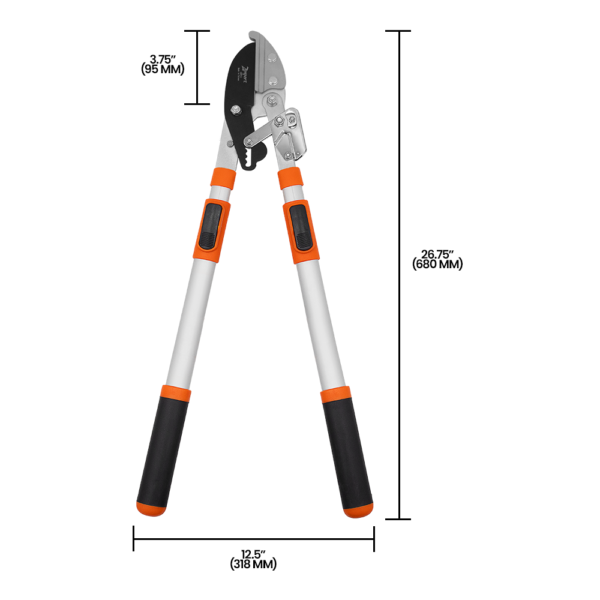 Zenport LRT11 Telescopic Ratchet Anvil Lopper