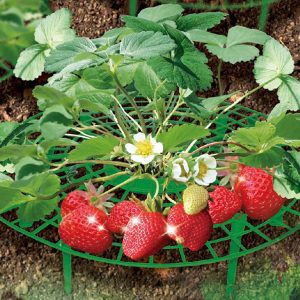 Zenport P309 Garden Supports Fruit and Vegetable Gardening