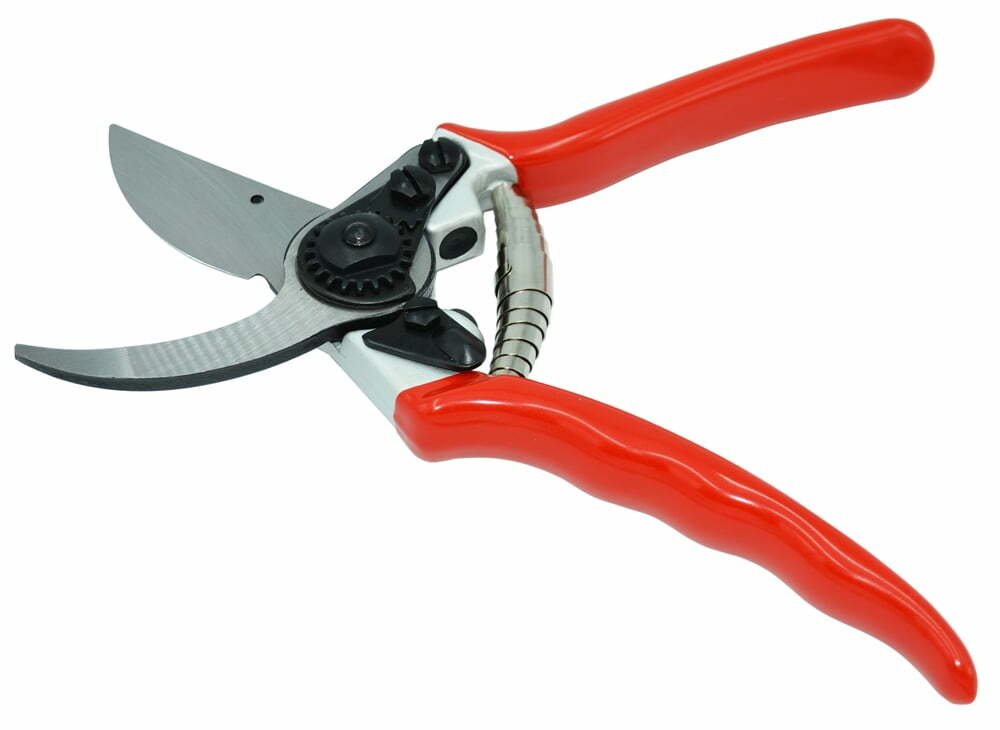 Zenport QZ411 Narrow Head Professional Pruner, 8.25-Inch - Zenport ...