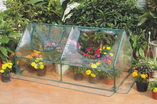 Zenport SH3212A Garden Cold Frame Greenhouse Cloche