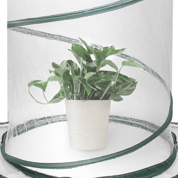Zenport SH3240 Portable Pop Up Greenhouse, 26-Inches High