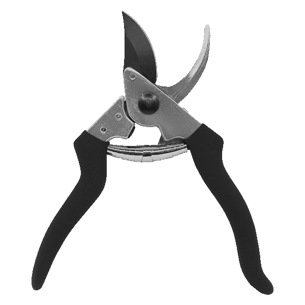 Zenport Z201 Heavy Duty Pruner, 8-Inch