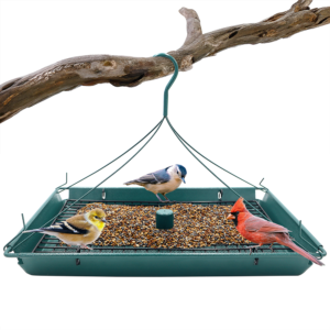 Zenport Z203009 2-in-1 Platform Bird Feeder