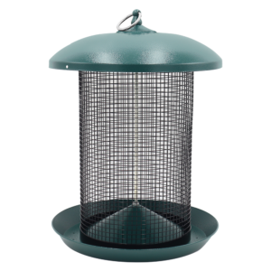 Zenport Z203010 Hanging Bird Seed Screen Feeder