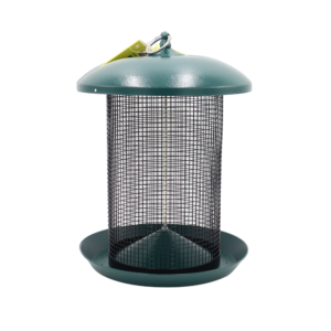 Zenport Z203010 Hanging Bird Seed Screen Feeder