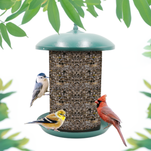 Zenport Z203010 Hanging Bird Seed Screen Feeder