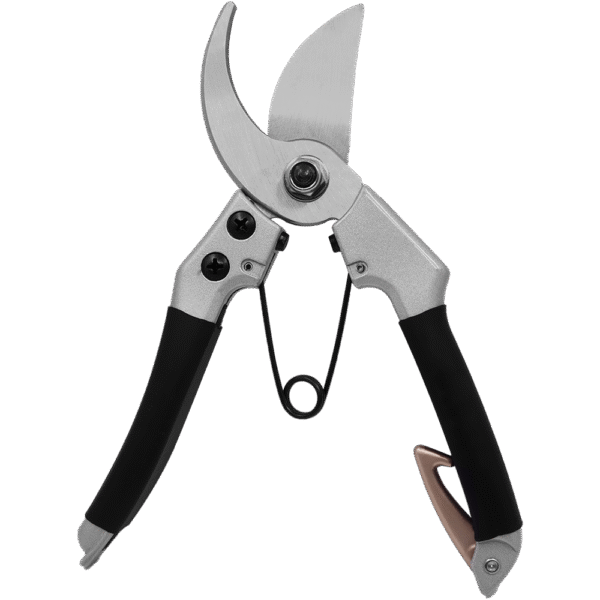 Zenport Z206 Deluxe Chrome-Plated Pruner, 7-Inch