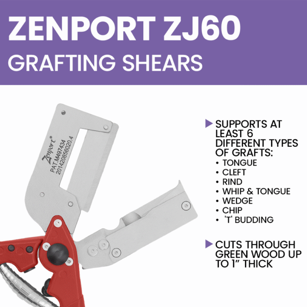 Zenport ZJ60 Grafting Shear