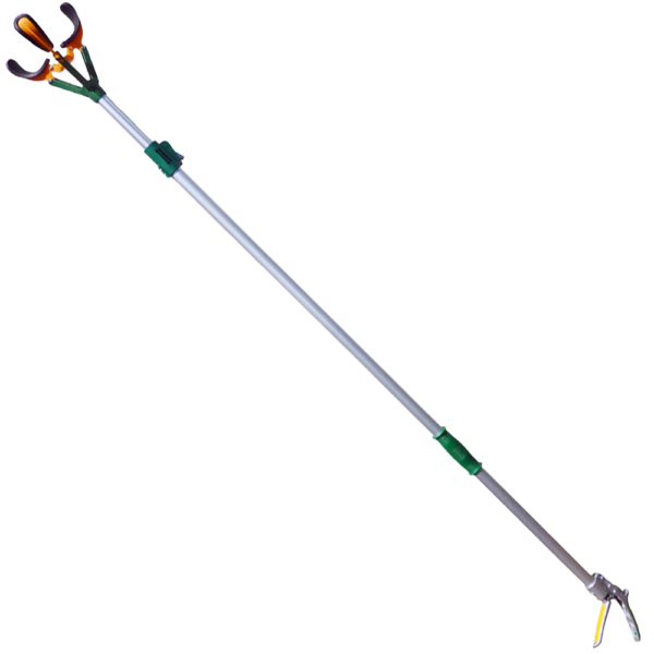 Zenport ZL6146A Long Reach Telescopic Fruit Picker, 6-Feet Extension