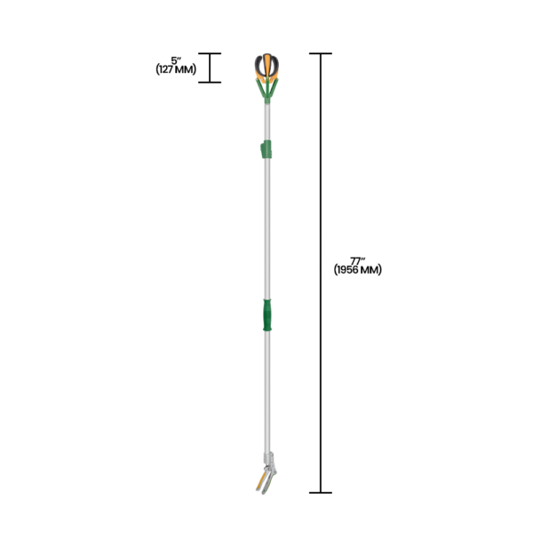 Zenport ZL6146B Long Reach Telescopic Fruit Picker, 6-Feet Extension