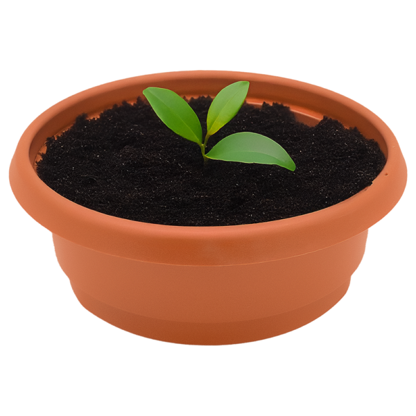 Grow Pots - Image 4