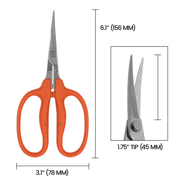 Zenport ZS420 Curved MasaMasa Scissors