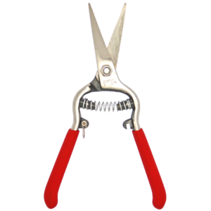 Zenport Z275 Needlenose Shear, 8-Inch