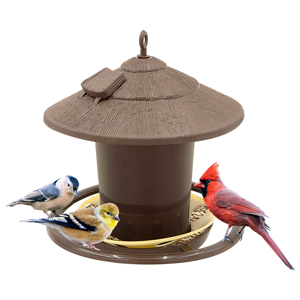 Zenport D450 Bird Feeder